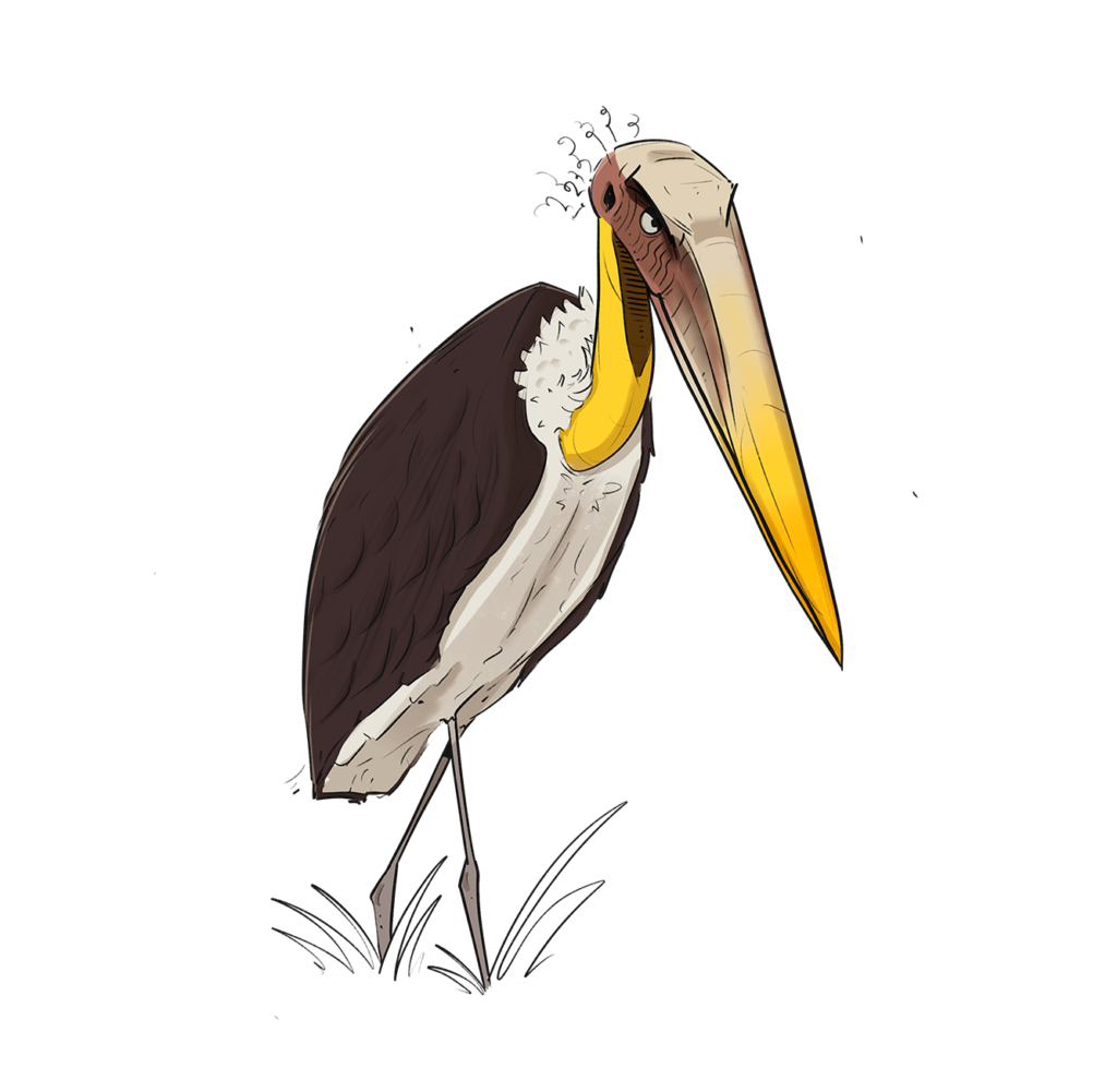 LEsser Stork