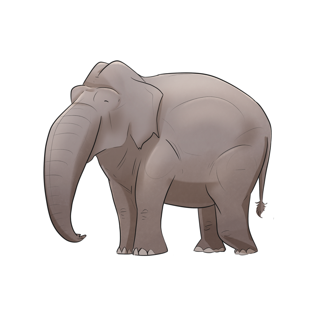 elephant