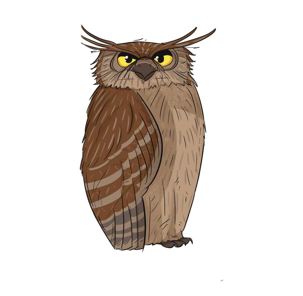 forest eagle owl