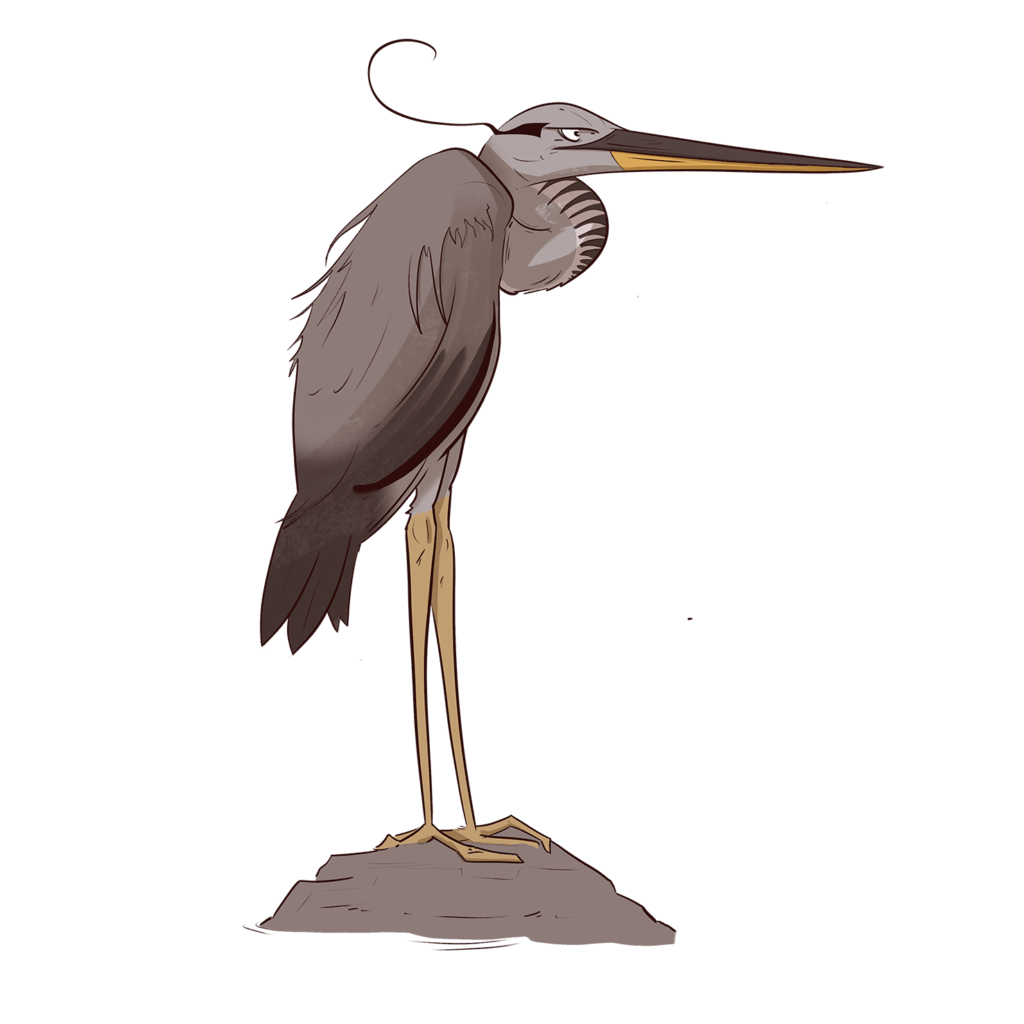 heron