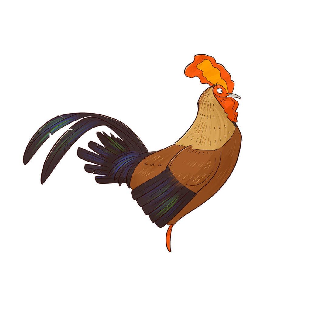 jungle fowl