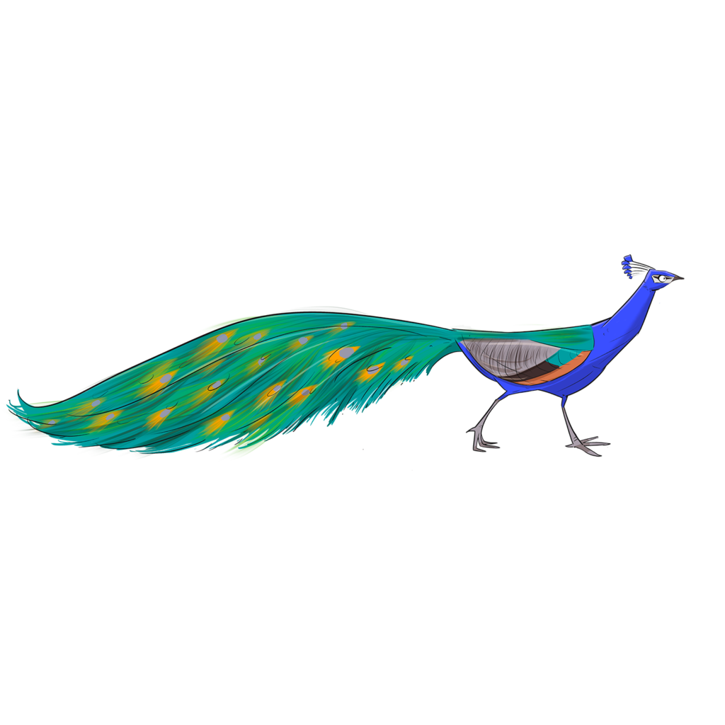 peafowl2