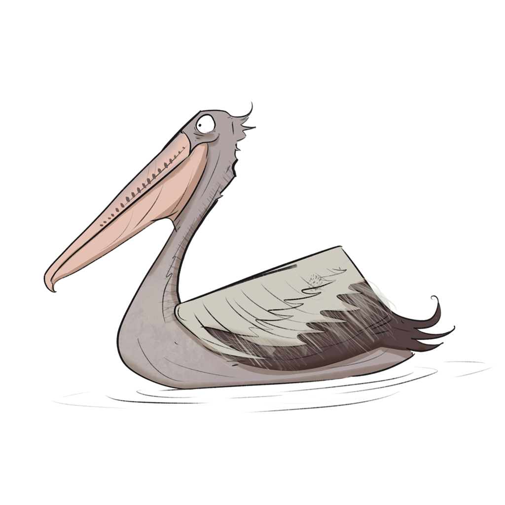 pelican