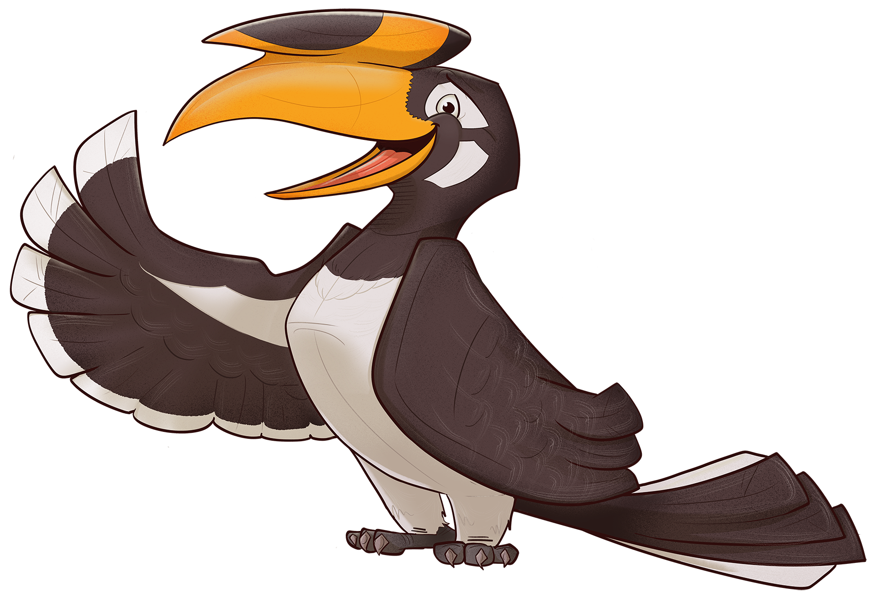 Malabar pied hornbill