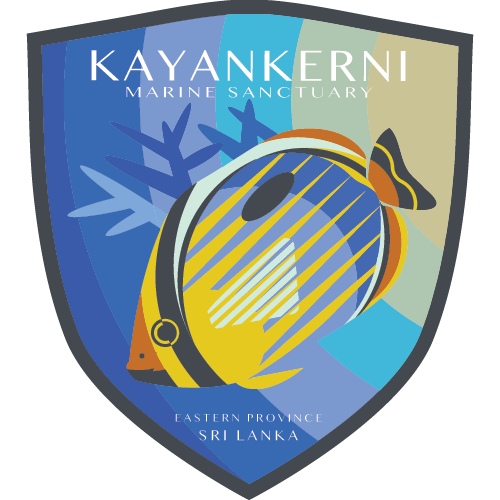 kayankerni_500-02