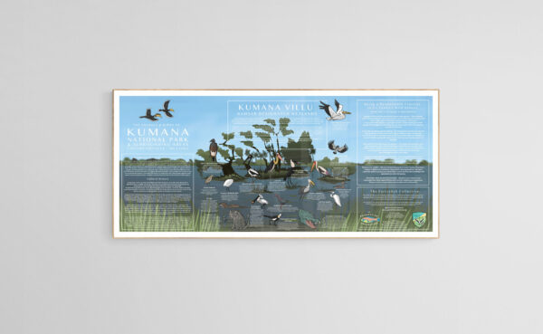 Kumana National Park - Poster & Educational Guide - Image 3